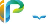 IP School - Inglês Particular